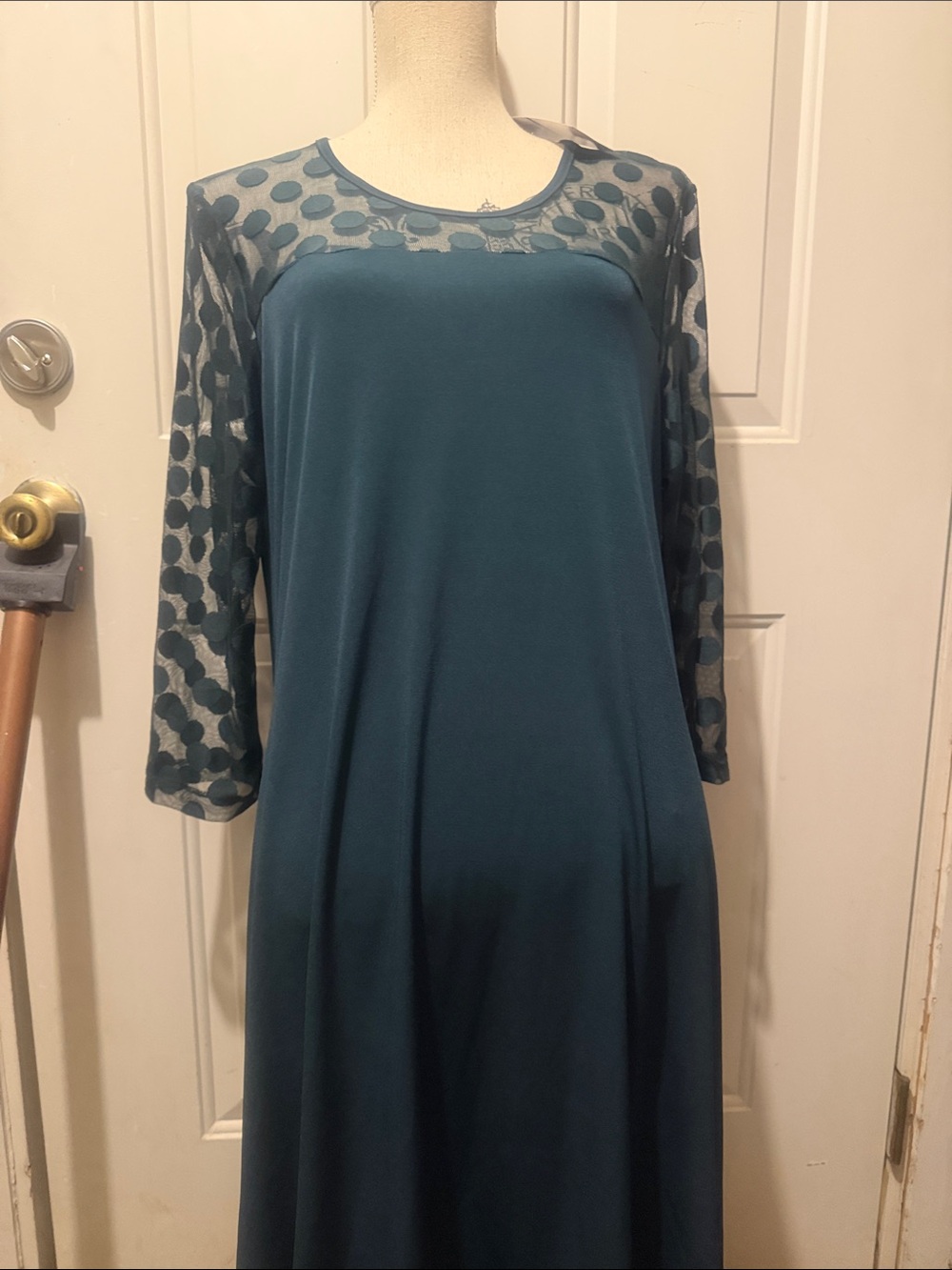 Nina Leonard A-Line Dress with Sheer Sleeves